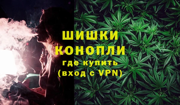 каннабис Новозыбков