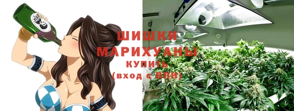 хмурый Нея