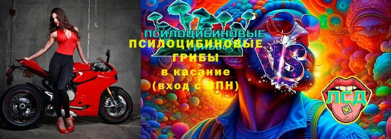 блэк спрут как зайти  что такое   Красноуральск  Псилоцибиновые грибы Magic Shrooms 